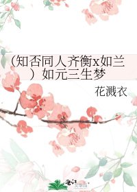 (知否同人齐衡x如兰)如元三生梦