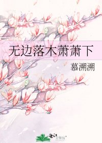 无边落木萧萧下