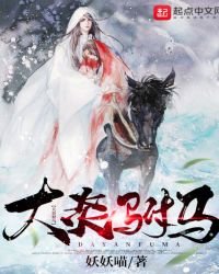 大炎駙馬