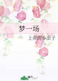 夢一場